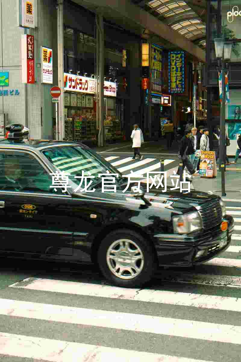 尊龙官方网站