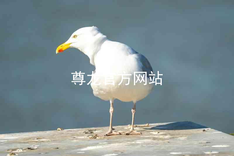 尊龙官方网站