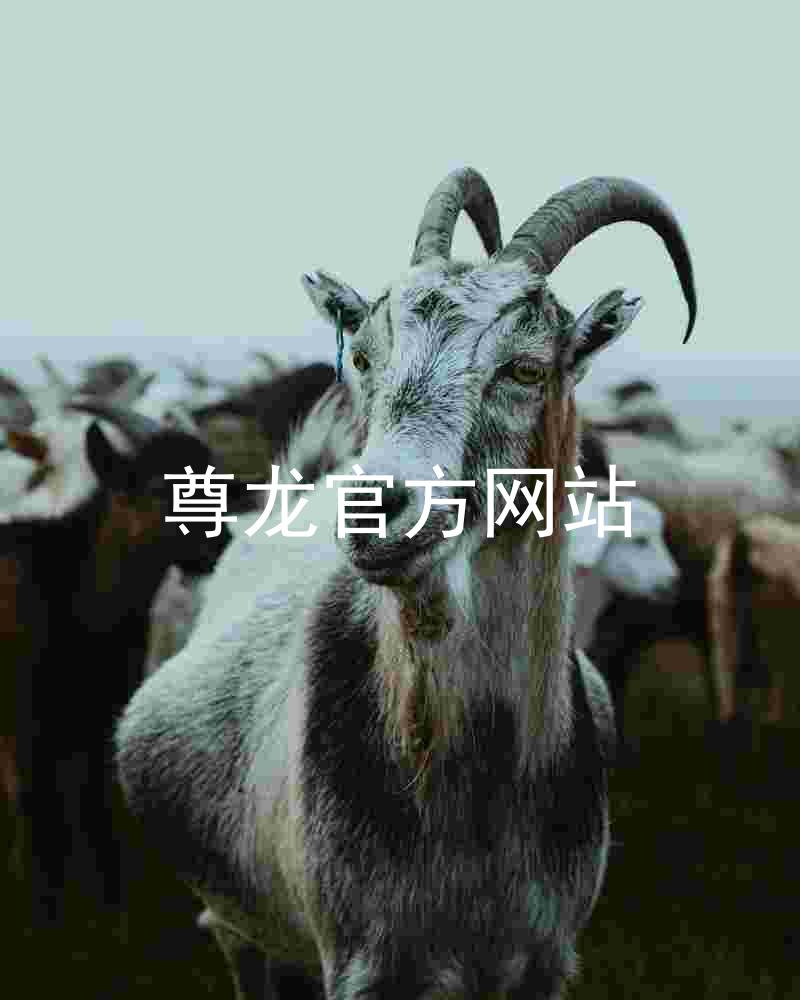 尊龙官方网站