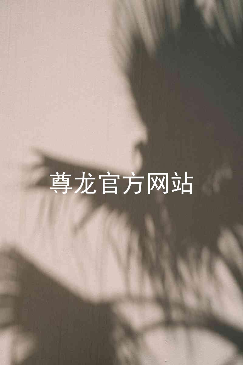 尊龙官方网站