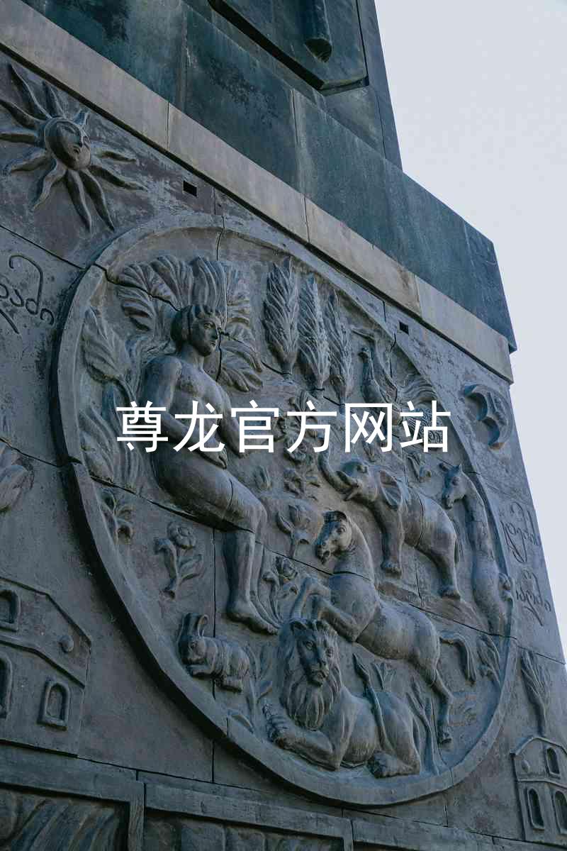 尊龙官方网站