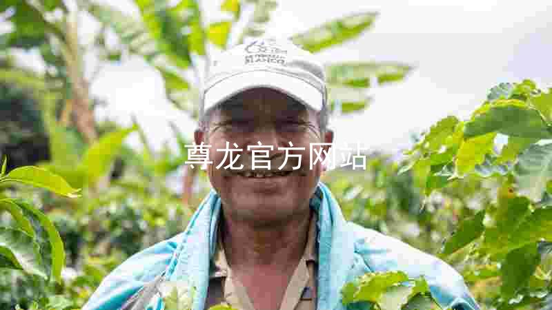 尊龙官方网站