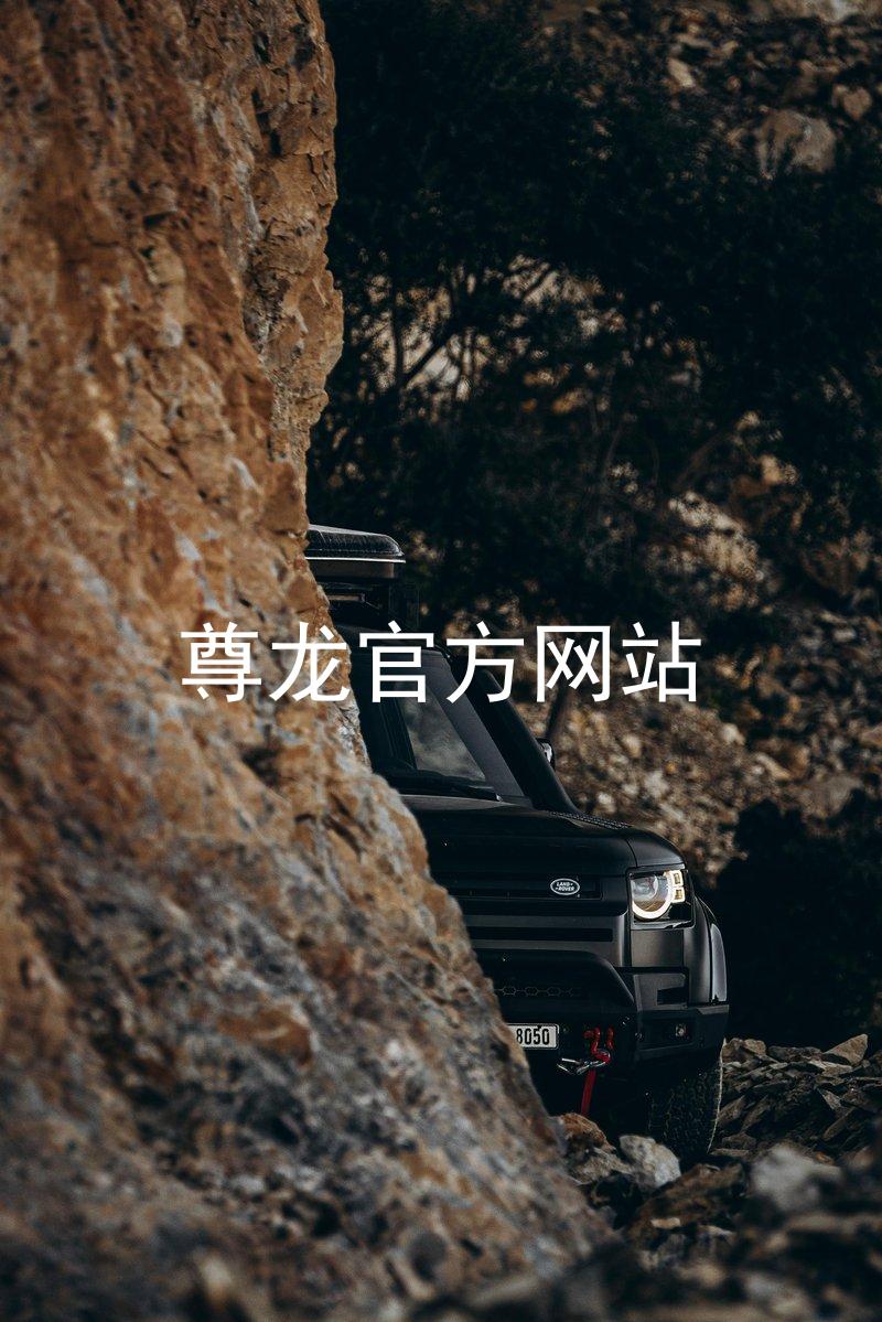 尊龙官方网站